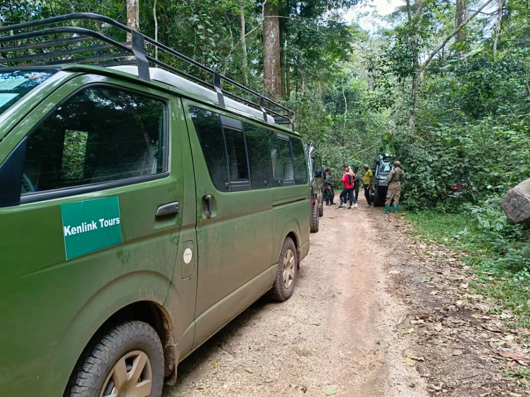 combining-chimpanzees-with-gorilla-trekking-in-uganda