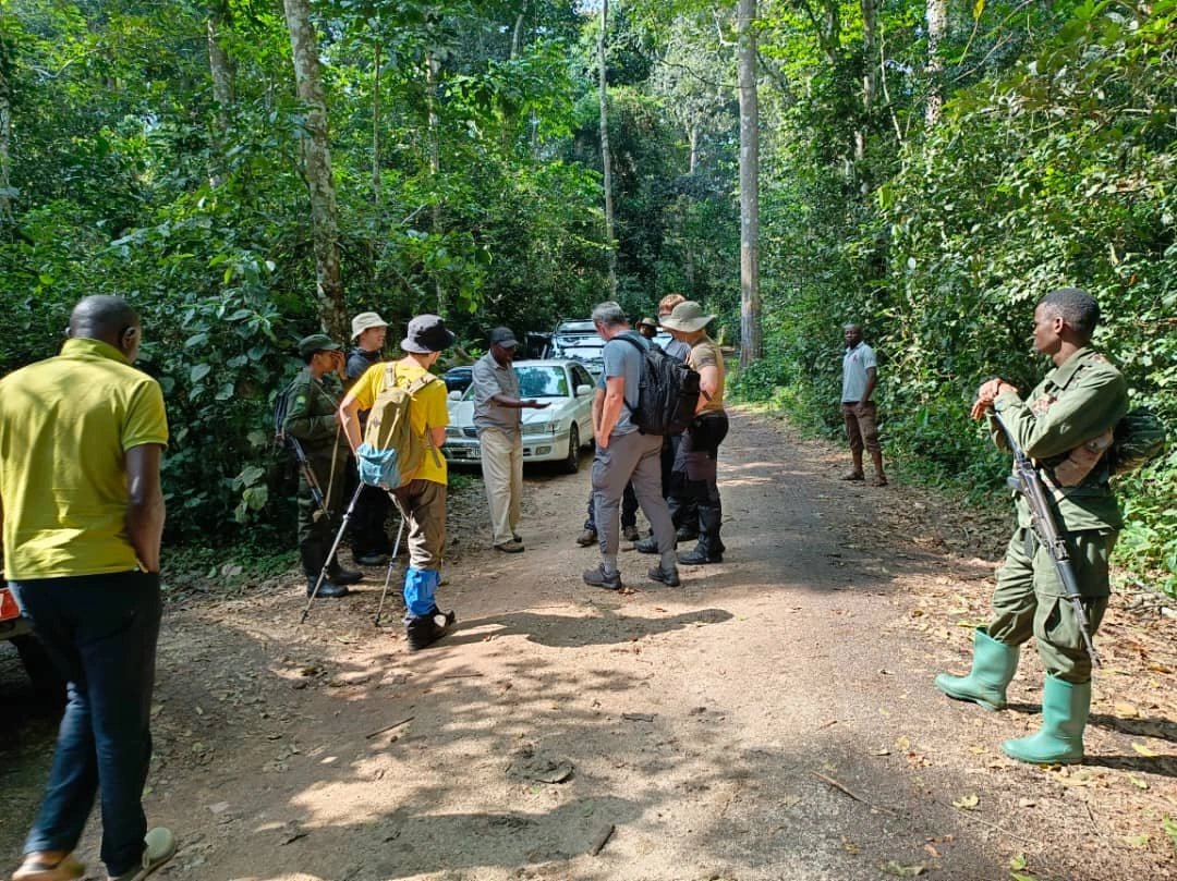 kalinzu-forest-reserve-for-chimpanzee-tracking