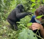 which-is-better-for-gorilla-trekking-rushaga-or-buhoma-gorilla-sectors