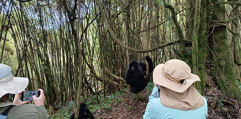 5-days-uganda-primate-safari