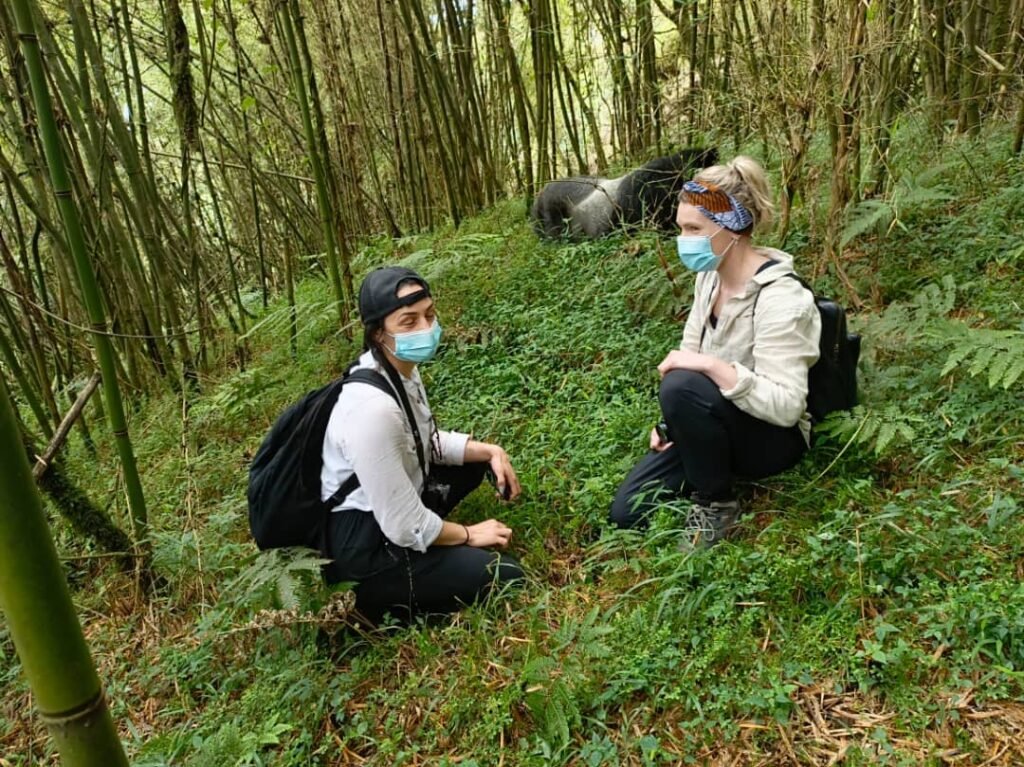 4-days-gorilla-and-golden-monkey-tracking